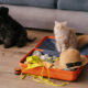 Viajar com seu pet caes e gatos 80x80